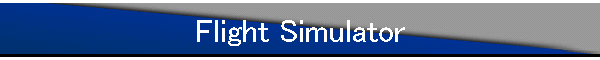 Flight Simulator