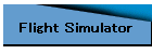 Flight Simulator