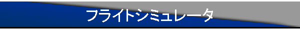 �t���C�g�V�~�����[�^