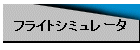 �t���C�g�V�~�����[�^