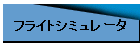 �t���C�g�V�~�����[�^