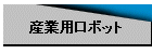 �Y�Ɨp���{�b�g